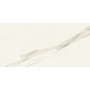 MARVEL MERAVIGLIA CALACATTA MERAVIGLIA MATT 60X120 Rektifizierte