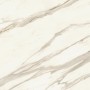 MARVEL MERAVIGLIA CALACATTA BERNINI LUCIDO 120X120 Rektifizierte