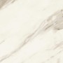 MARVEL MERAVIGLIA CALACATTA BERNINI MATT 60X60 Rektifizierte
