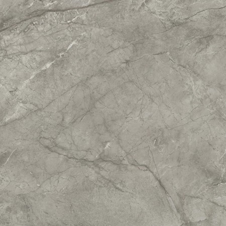 MARVEL MERAVIGLIA SILVER MAJESTIC LUCIDO 120X120 Rektifizierte