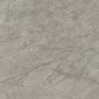 MARVEL MERAVIGLIA SILVER MAJESTIC LUCIDO 120X120 Rektifizierte