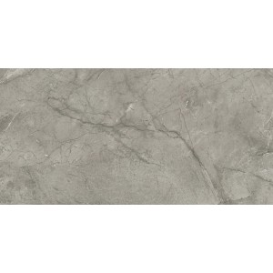 MARVEL MERAVIGLIA SILVER MAJESTIC MATT 60X120 Rektifizierte