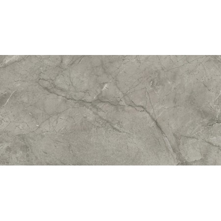 MARVEL MERAVIGLIA SILVER MAJESTIC MATT 60X120 Rektifizierte