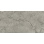 MARVEL MERAVIGLIA SILVER MAJESTIC MATT 60X120 Rektifizierte