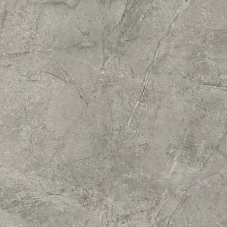 MARVEL MERAVIGLIA SILVER MAJESTIC MATT 60X60 Rektifizierte