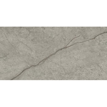 MARVEL MERAVIGLIA SILVER MAJESTIC MATT 30X60 Rektifizierte