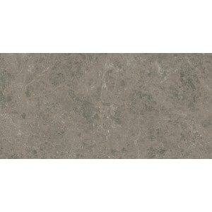 MARVEL MERAVIGLIA GRIGIO ELEGANTE LUCIDO 60X120 Rektifizierte
