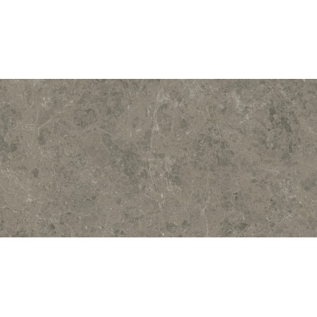 MARVEL MERAVIGLIA GRIGIO ELEGANTE LUCIDO 60X120 Rektifizierte