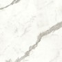 MARVEL SHINE STATUARIO SUPREMO LUCIDO 60x60