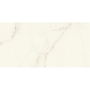 MARVEL X CALACATTA APUANO MATT 60X120 RET.