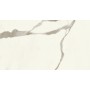 MARVEL X CALACATTA SUBLIME MATT 30X60 RET.