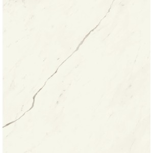 MARVEL X CALACATTA SUBLIME LUCIDO 120X120 RET.