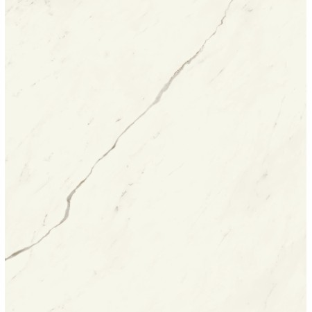 MARVEL X CALACATTA SUBLIME LUCIDO 120X120 RET.