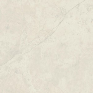 MARVEL X CALACATTA PERLA LUCIDO 120X120 RET.