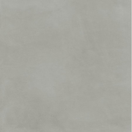 SLOW COLD SALVIA 120X120 Rektifizierte