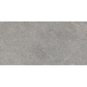 ANTHOLOGY 04 GRAY ROUGH RETT 60x120 20 mm R11