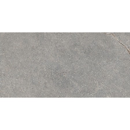 ANTHOLOGY 04 GRAY ROUGH RETT 60x120 20 mm R11