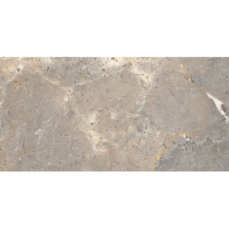 ANTHOLOGY 03 EARTH NATURALE RETT 30x60 9,5 mm