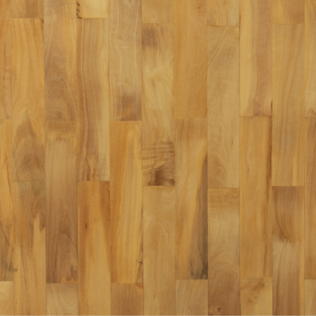 Ulivo Bianco Massiccio 60x300 Sp 10 Mm