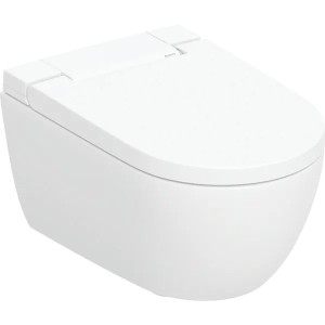 copy of ACANTO HÄNGE-WC Rimfree + SOFT-CLOSE-SITZ