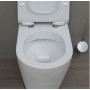 FLAMINIA LINK VASO BACK TO WALL GO CLEAN