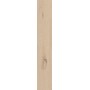 ABK CROSSROAD WOOD AMBER 20X120 RETT