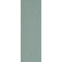 FAP CERAMICHE COLOR LINE SALVIA MATT 25X75