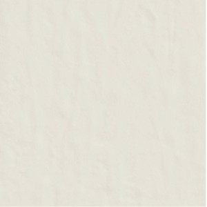 CASAMOOD NEUTRA BIANCO 6.0 120x120