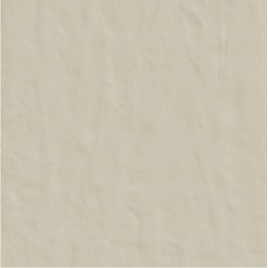 CASAMOOD NEUTRA POLVERE 6.0 120x120 SP 6mm