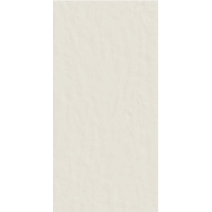 CASAMOOD NEUTRA BIANCO 6.0 60x120