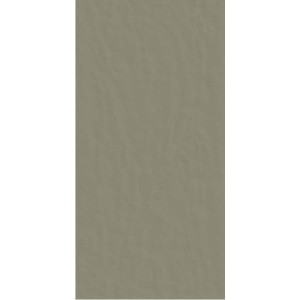 CASAMOOD NEUTRA QUARZO 6.0 60x120 SP 6mm