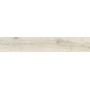 IMPRONTA ITALGRANITI ALNUS PURO 20X120 RETT SP 9