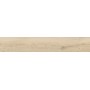 ALNUS VANIGLIA 20X120 rektifizierte SP 9
