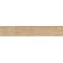 IMPRONTA ITALGRANITI ALNUS NEUTRO 20X120 RETT SP 9