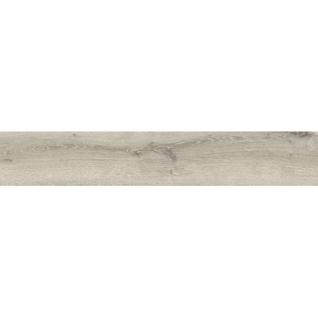 IMPRONTA ITALGRANITI ALNUS PLUMBEO 20X120 RETT SP 9