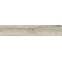 IMPRONTA ITALGRANITI ALNUS PLUMBEO 20X120 RETT SP 9