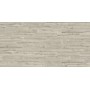 IMPRONTA ITALGRANITI ALNUS PLUMBEO 20X120 RETT SP 9