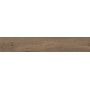 IMPRONTA ITALGRANITI ALNUS TERRA 20X120 RETT SP 9