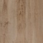 TREVERKHOME20 ROVERE 60X60 Rektifizierte - 20mm