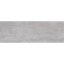 PAUL CERAMICHE RACE GREY 20X60