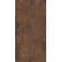 INTERNO 9 RUST 60x120 LAPPATA