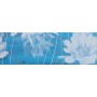 PAUL CERAMICHE STUDIO INSERTO NINFEE BLU 25X75