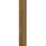 TREVERKLIFE WALNUT 25X150 Rektifizierte