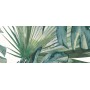 IDEA CERAMICA VERNISSAGE COMPOSIZIONE TROPICANA 25X60