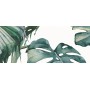 IDEA CERAMICA VERNISSAGE COMPOSIZIONE TROPICANA 25X60