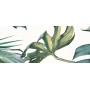 IDEA CERAMICA VERNISSAGE COMPOSIZIONE TROPICANA 25X60