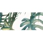 IDEA CERAMICA VERNISSAGE COMPOSIZIONE TROPICANA 25X60