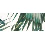IDEA CERAMICA VERNISSAGE COMPOSIZIONE TROPICANA 25X60