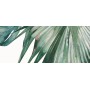 IDEA CERAMICA VERNISSAGE COMPOSIZIONE TROPICANA 25X60