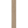 MARINER PLANET ROVERE 20X120 RETTIFICATO